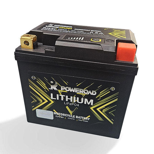 Daisy on the Ohoopee